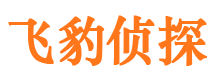 巴东找人公司